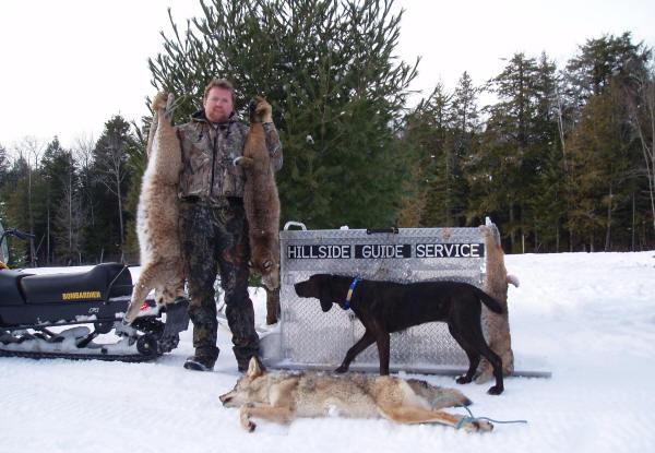 Scott and Hound, Bobcats, and Coyote